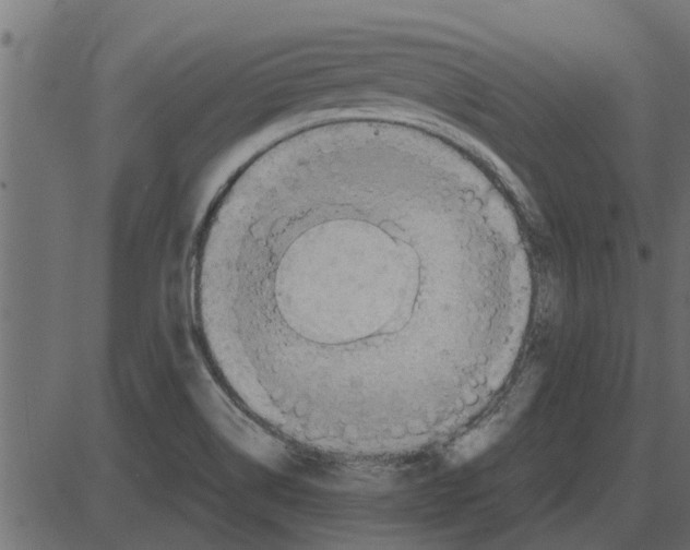 X0000087401514200705181319