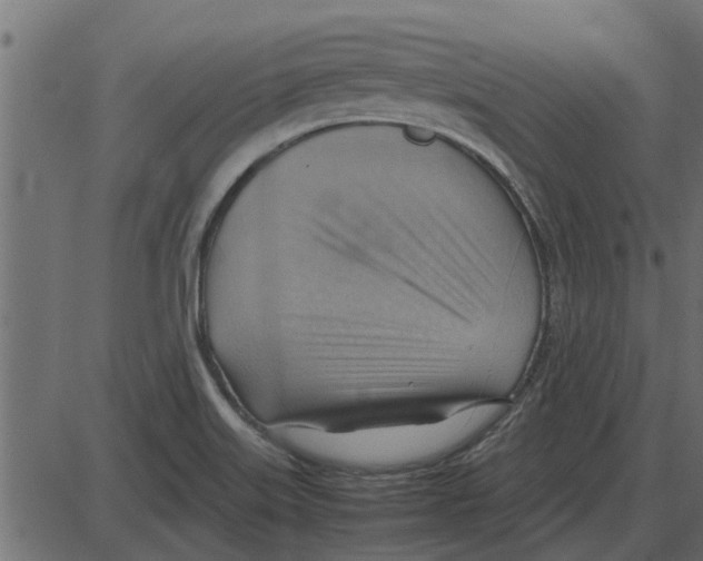 X0000087401515200705181319