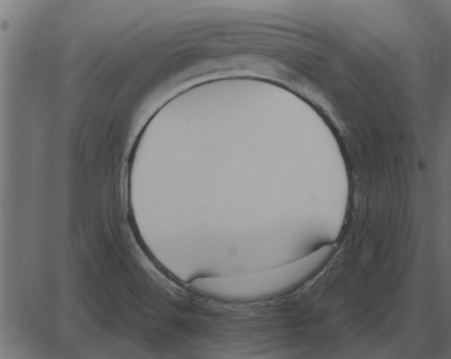 X0000087401516200705181319