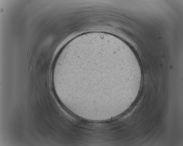 X0000087401517200705181319