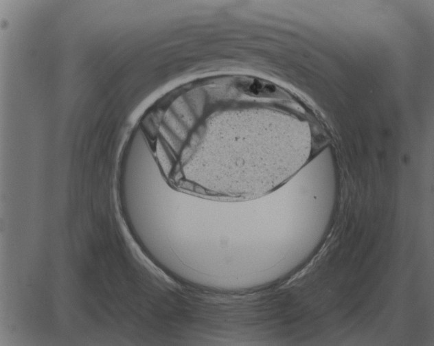 X0000087401518200705181319