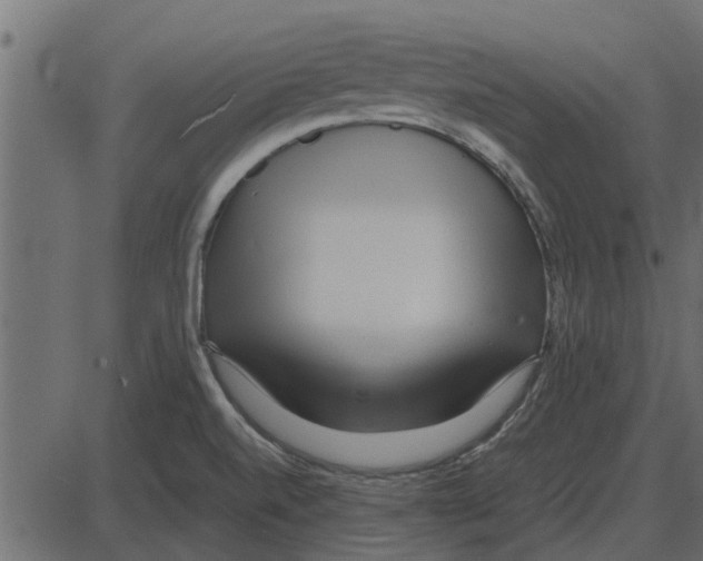 X0000087401520200705181319