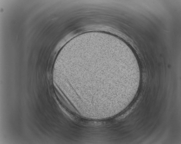 X0000087401521200705181319