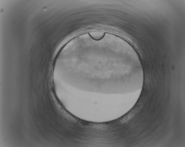 X0000087401522200705181319