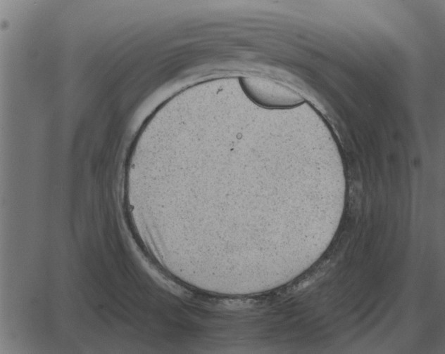 X0000087401523200705181319