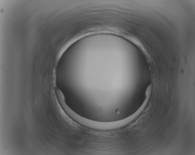 X0000087401524200705181319