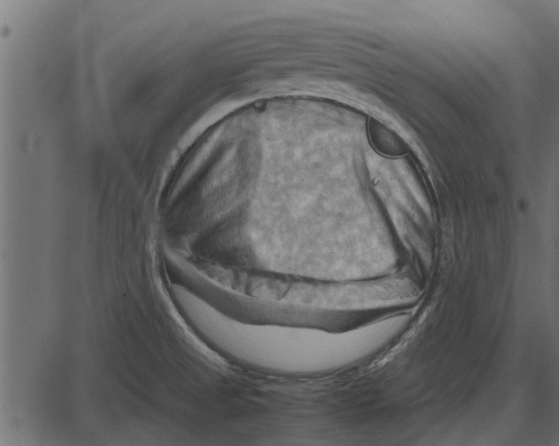 X0000087401525200705181319