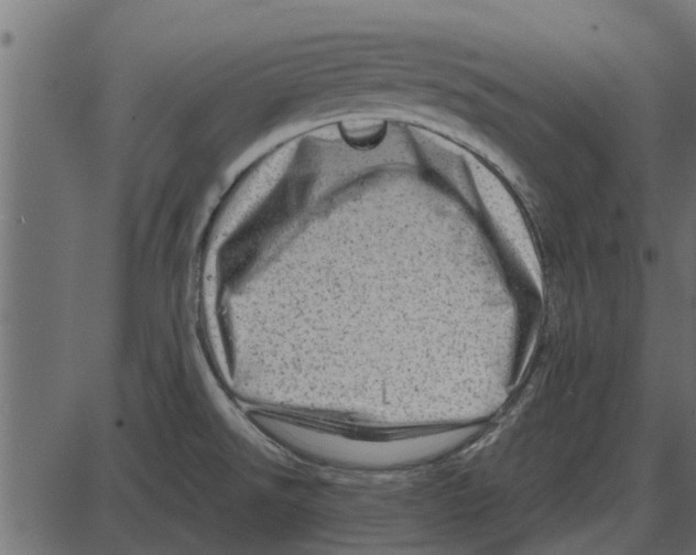 X0000087401526200705181319