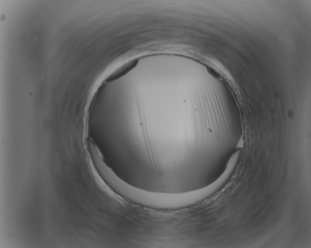 X0000087401528200705181319