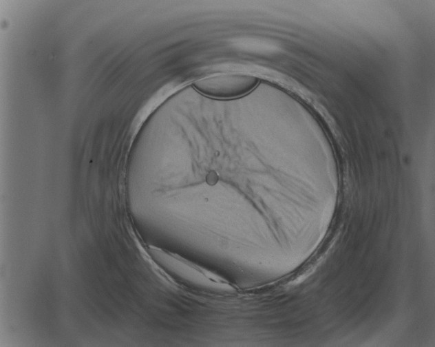 X0000087401529200705181319