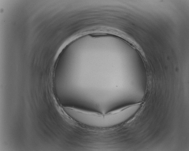 X0000087401530200705181320