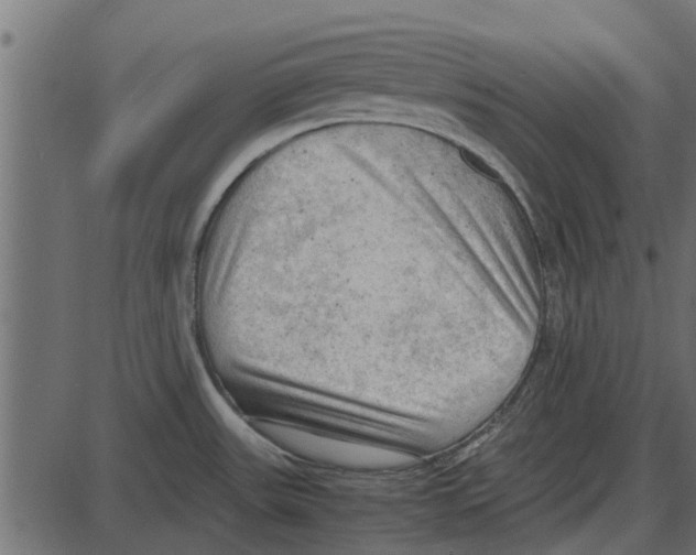 X0000087401531200705181320