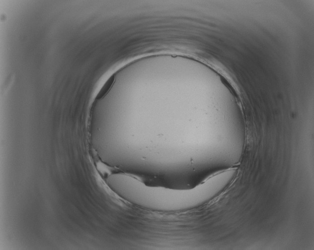 X0000087401532200705181320