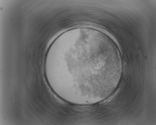 X0000087401533200705181320