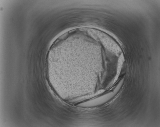 X0000087401534200705181320