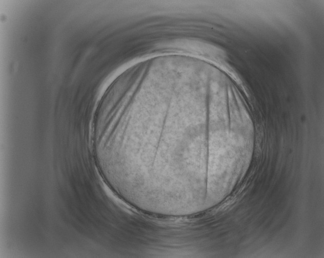 X0000087401535200705181320