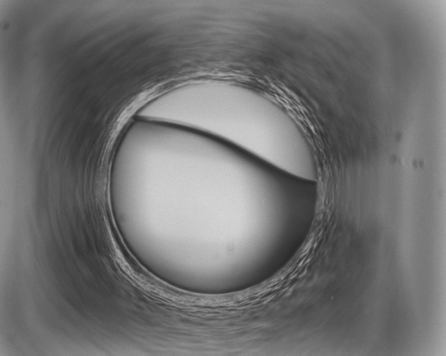X0000087410003200704201032