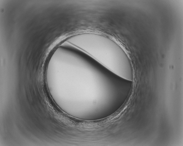 X0000087410008200704201032