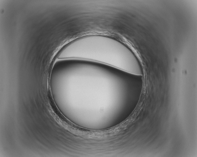 X0000087410011200704201032