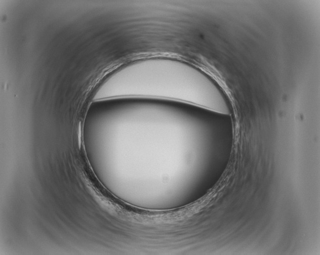 X0000087410013200704201032