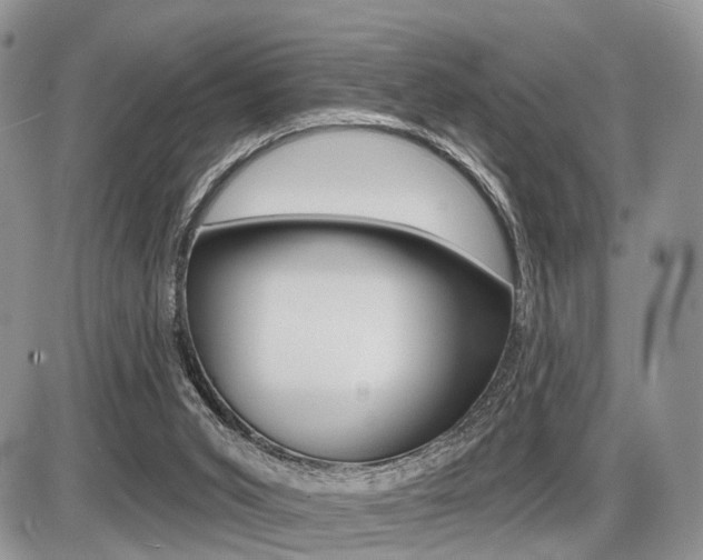 X0000087410015200704201032