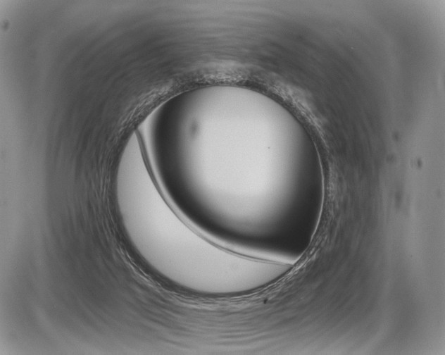 X0000087410017200704201032