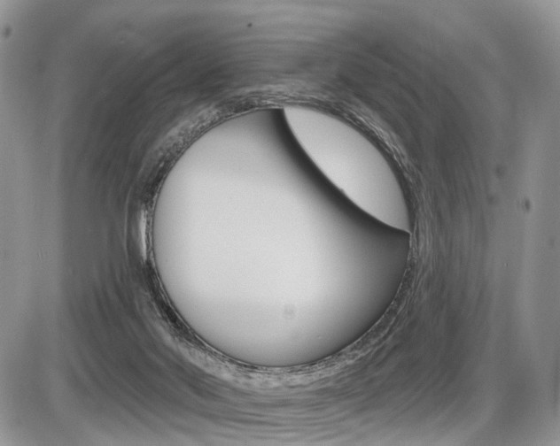 X0000087410022200704201032