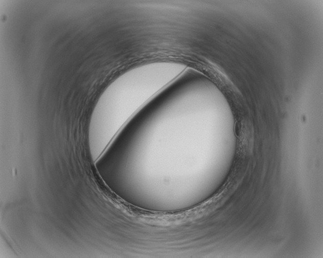 X0000087410025200704201032