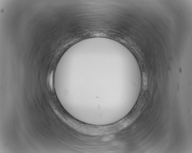 X0000087410028200704201032