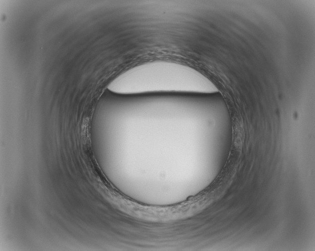 X0000087410034200704201031