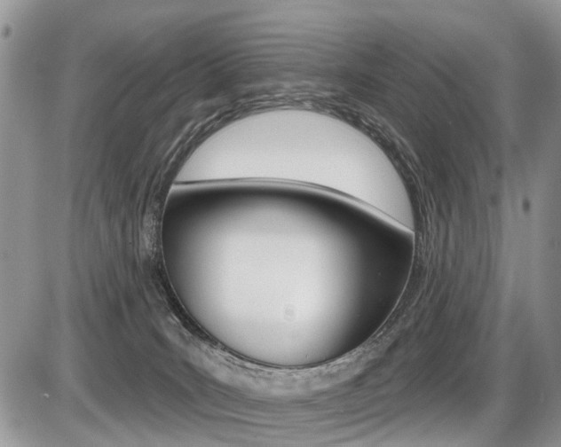 X0000087410035200704201031