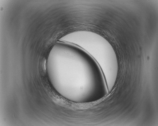 X0000087410041200704201031