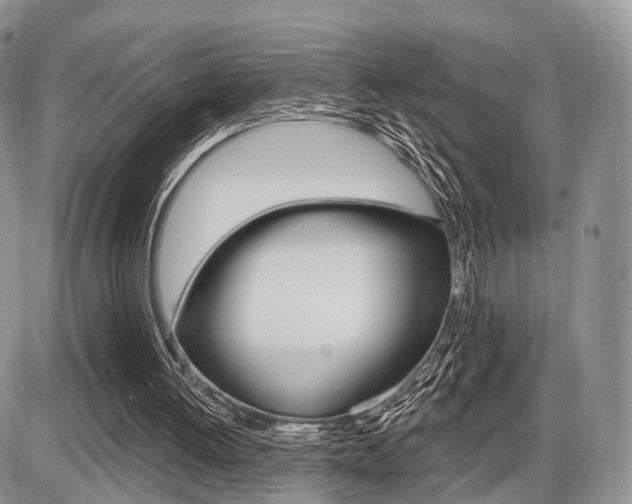 X0000087410052200704201031