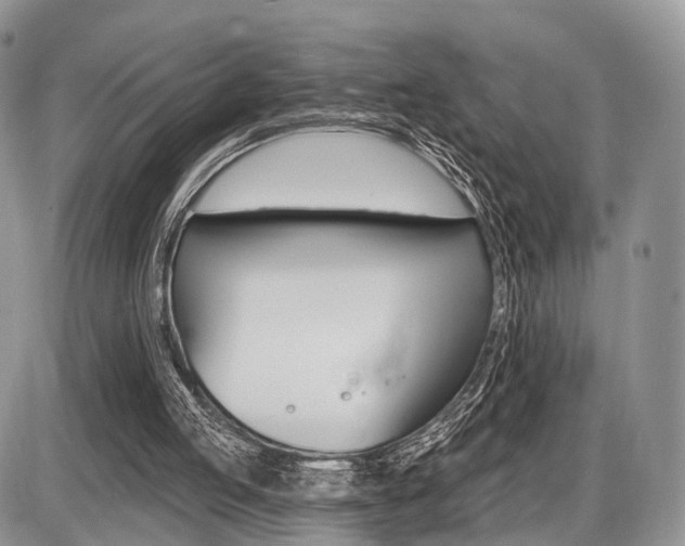 X0000087410053200704201031