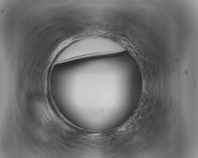 X0000087410054200704201031
