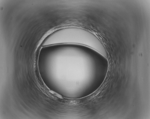 X0000087410056200704201031