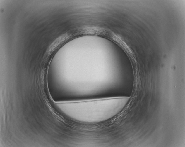 X0000087410058200704201031