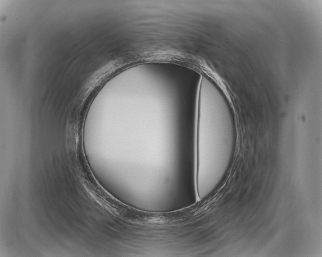 X0000087410059200704201031