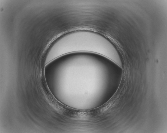 X0000087410064200704201031