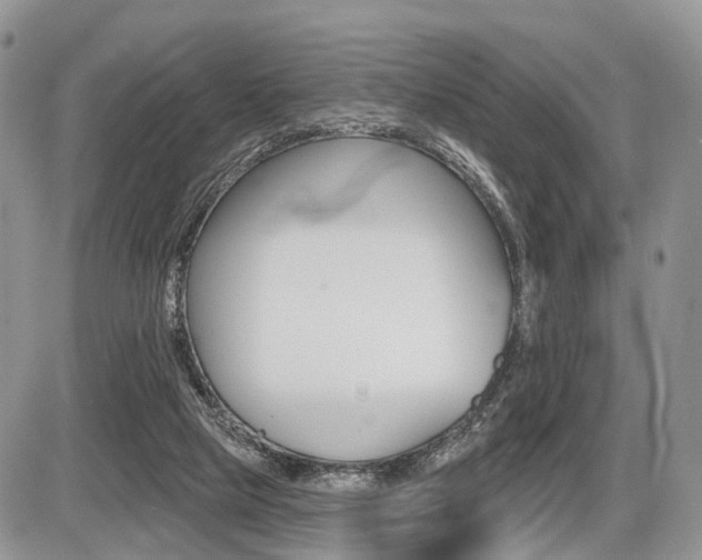 X0000087410065200704201031