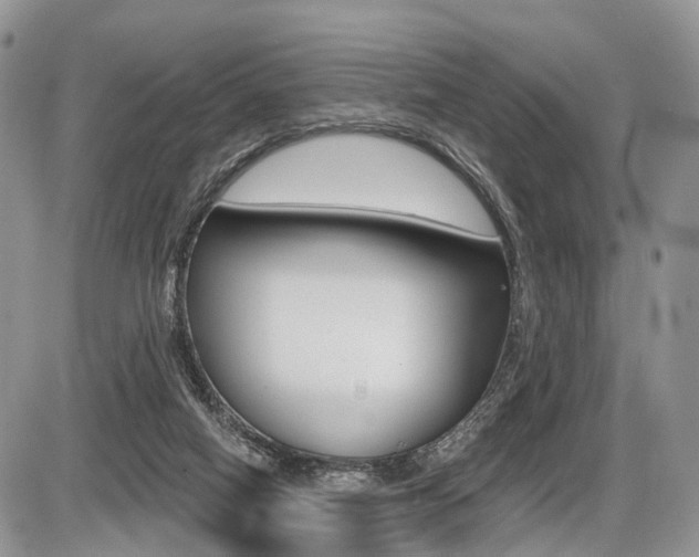X0000087410066200704201031