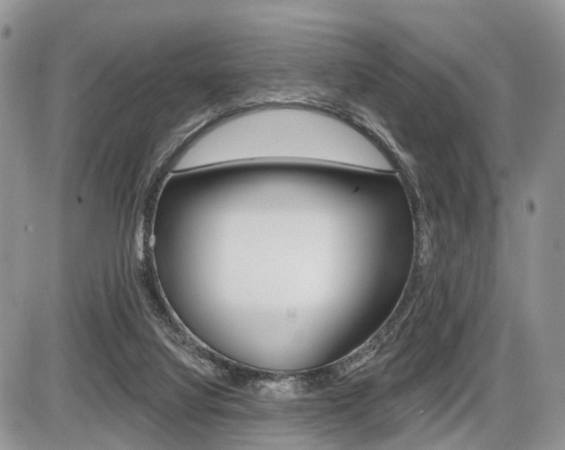 X0000087410068200704201031