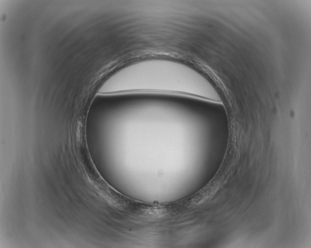 X0000087410071200704201031