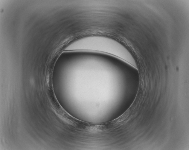 X0000087410072200704201031