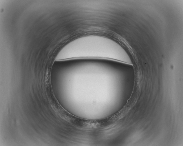 X0000087410073200704201031