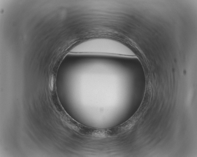 X0000087410076200704201031