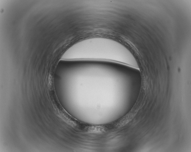 X0000087410077200704201031