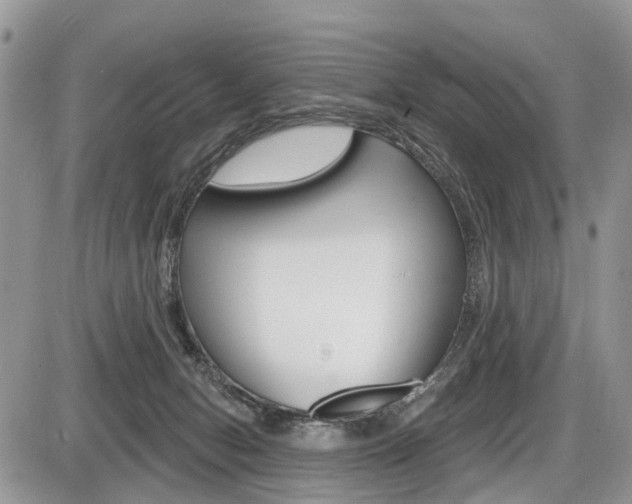 X0000087410078200704201031