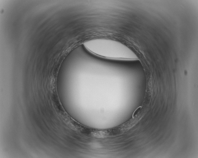 X0000087410079200704201031