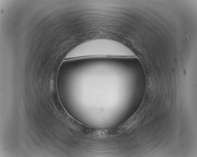 X0000087410080200704201031